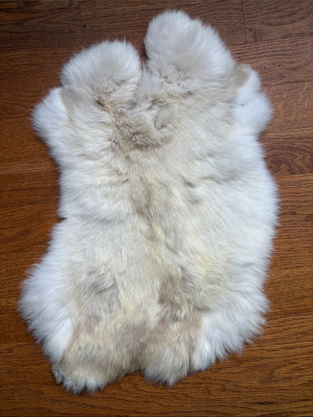 0832 premium natural rabbit fur pelt soft tanned craft supply hide